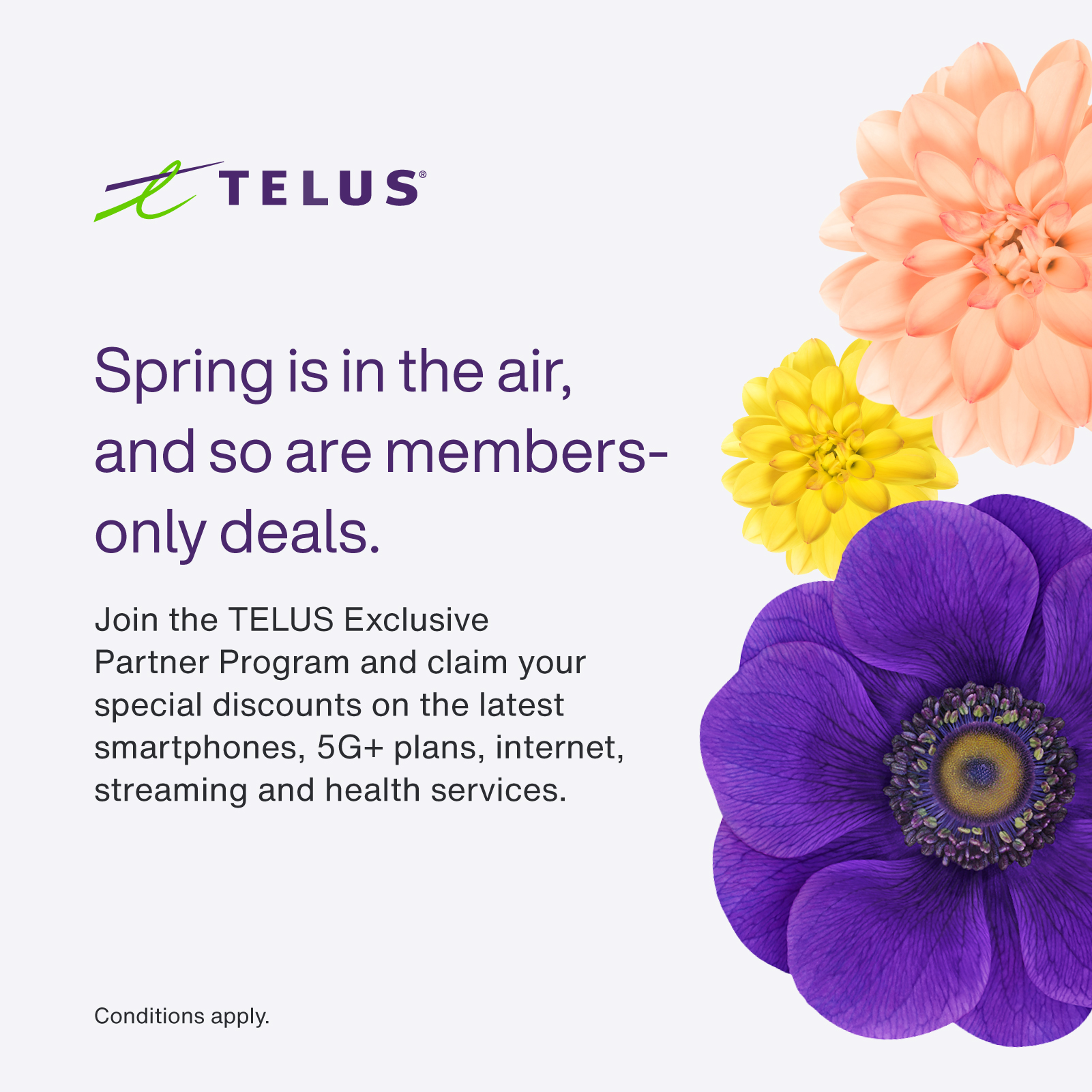 //skywireless.ca/wp-content/uploads/2026/04/Spring-is-in-the-air-1600-x-1600.jpg